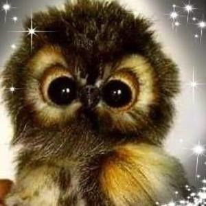 Meet your Posher, Lynn